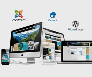 web development