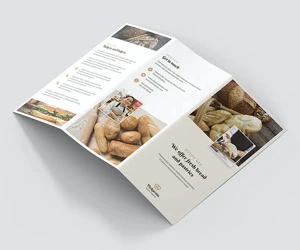 brochure design