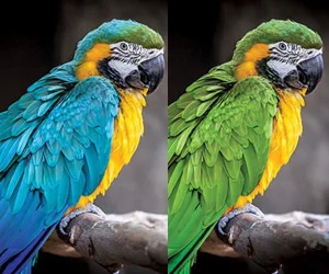 Manipulating colours
